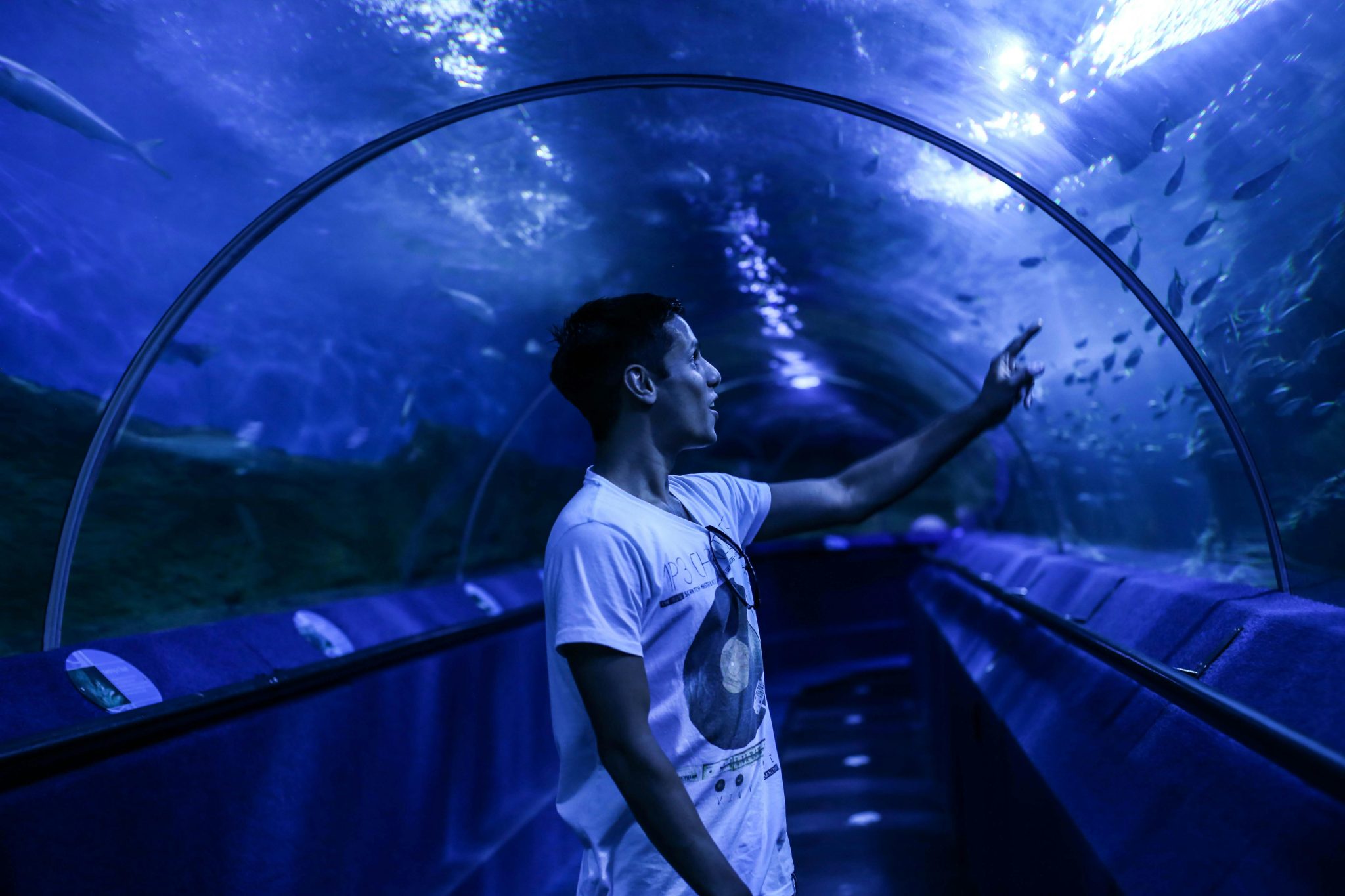 A person pointing at fish in an underground aquarium tunnel.